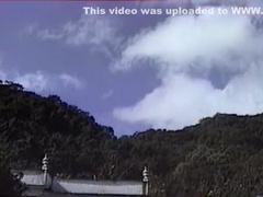 Island Fever (1989)