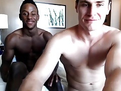 Venyveras 6