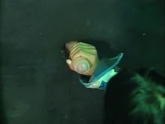 Best male pornstar in incredible hunks, latins homosexual xxx scene