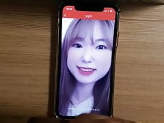 Korea dog fuck