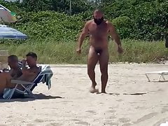 Oso en la playa