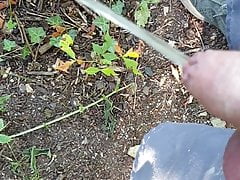 Minipenis pee in forest