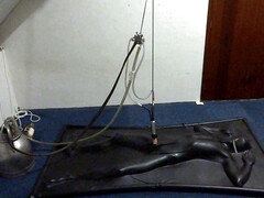 Vacbed milking