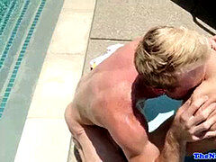 Rimmed wolf fledgling gets his bootie drilled