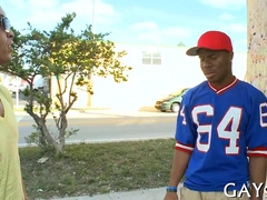 Black And White Queer Hookup