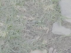 cumming in the front yard