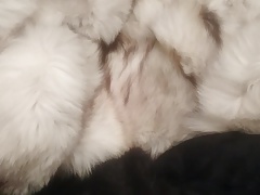 fur cumshot fox fur coat