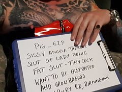 Pig 629 Lady Monics little Angela-Sissy
