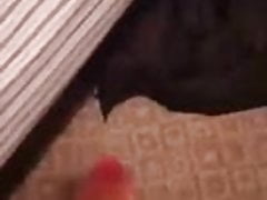 Cumshot in pocket pussy