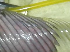 BIG COCK AND BIG BALLS