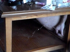 John is pissing on the table shelf