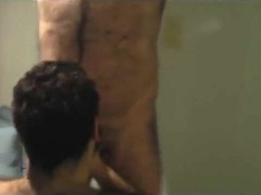 Bear Son's Cuddle with Daddy Bears