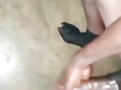 Morning Vibes, I Cum Too, My Dick Is Too Sweetie