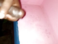 desi land cuming out