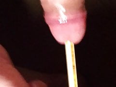 Experiment Number 1