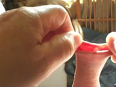 Foreskin in sunlight - 2 minute video