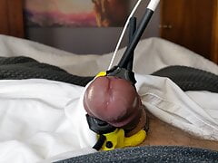 Throbbing Cock head estim