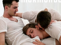 Examining Elder Holland's sinful flesh hole