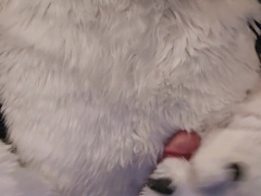 Elastrator Have fun with @AngryBarks Supreme Studs Get Neutered!