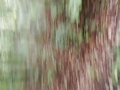 walking and flashing in forest