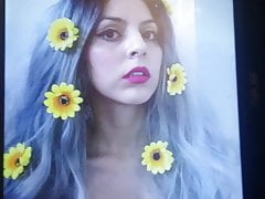 Tribute for Mona