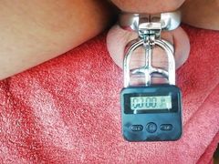 chastity cage with electronic padlock