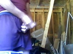 Piss in the barn