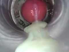 Ample Pop-Shots (Not Me)