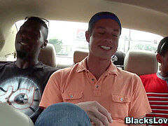 dark-hued fellows get sucked and screw