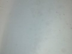 Cum spray explosion