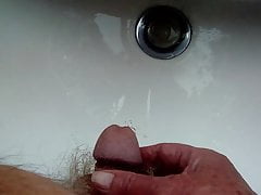 Pissing in the sink