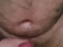 Bear wanking and cumming