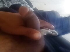 Peneestar