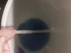 Bayer part 152