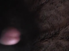 fursuit sex 3