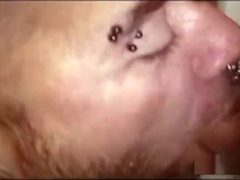BEARS GANGBANG BBK 1