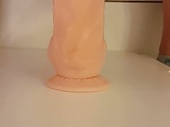 Schneller Arschfick