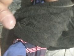 Paja