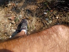 forest cum after race