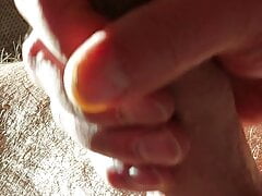 Sperma in der Sonne