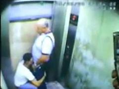 Parent Hairy man and his Young Hairy man Caught on Camera