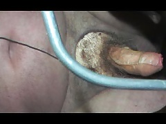 travesti shemale lingerie pantyhose sounding urethral cock