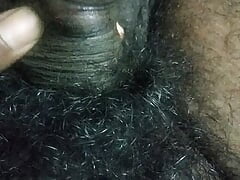 My hairy penis