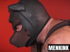 Fuck pup Riley Mitchell endures alpha pup Sexystaches anal drilling