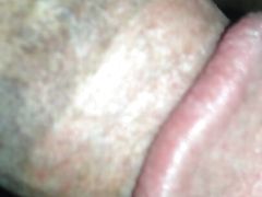 I'm not a Gay please