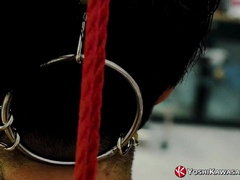 Yoshikawasakixxx - Roped Yoshi Kawasaki Likes Extraordinary Shibari Sesh