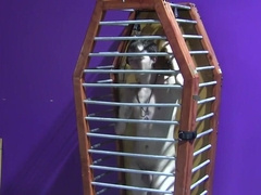Caged boy is ready to receive is dirty sexual punishment