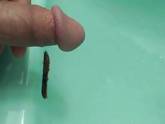Quick sink pee