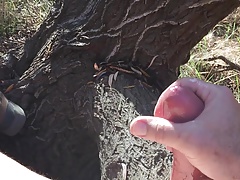 Stroking In The Park