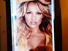 Pamela Anderson - Cum Tribute 1